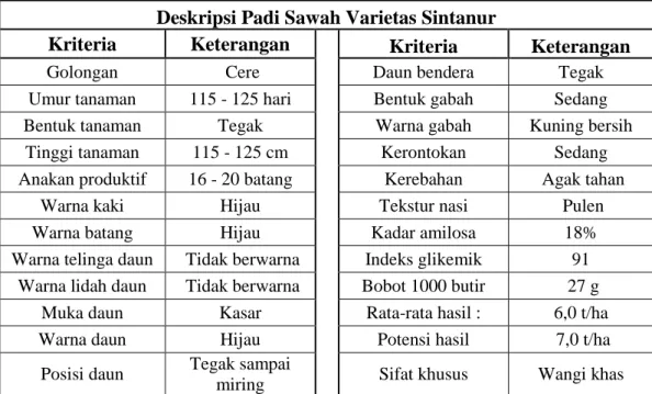 Tabel 2.  Deskripsi Padi Sawah Sintanur 