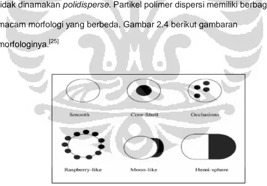 Gambar 2.5 Morfologi partikel polimer emulsi 