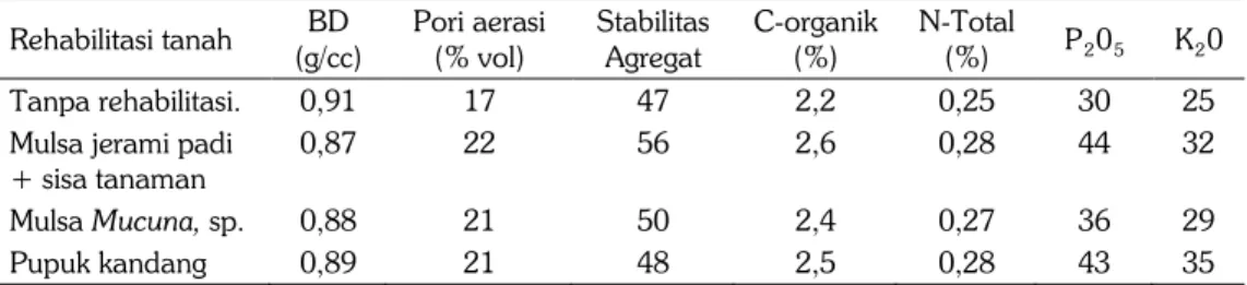 Tabel 1. Pengaruh  mulsa dan pupuk kandang terhadap sifat fisik dan kimia  tanah Ultisol Jasinga,  Jawa Barat