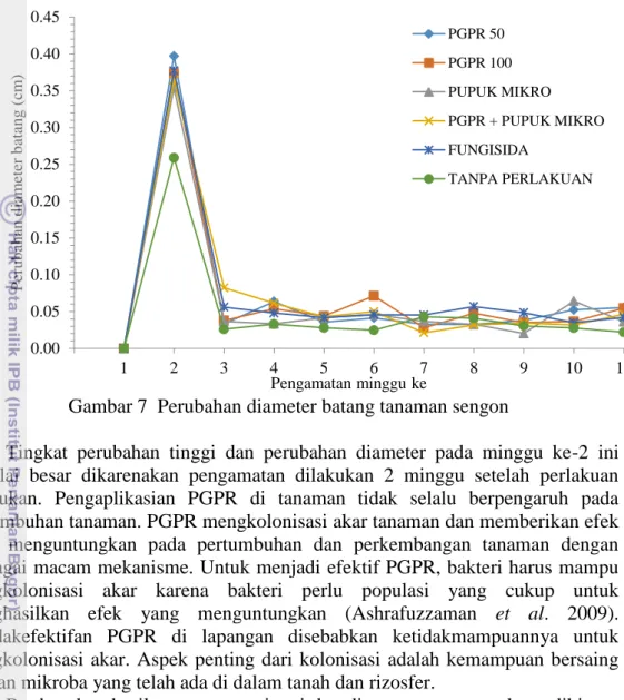 Gambar 7  Perubahan diameter batang tanaman sengon 