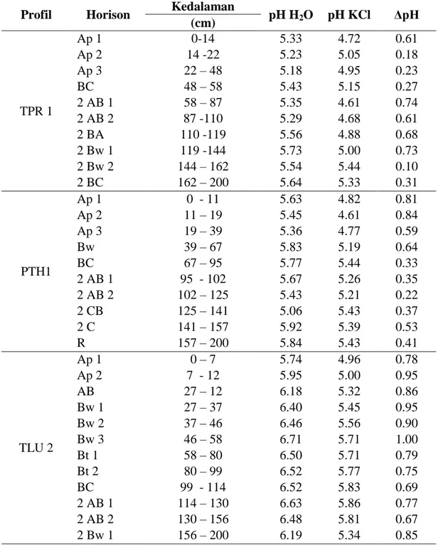 Tabel 4.  Nilai pH H 2 O, pH KCl dan ΔpH pada profil pewakil  Profil  Horison  Kedalaman 