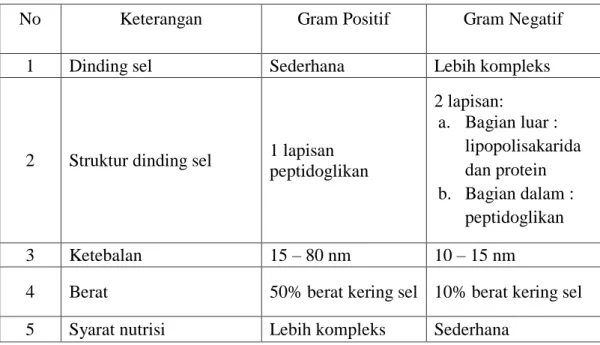 Tabel 2.1 Perbedaan bakteri Gram positif dengan bakteri Gram negatif 