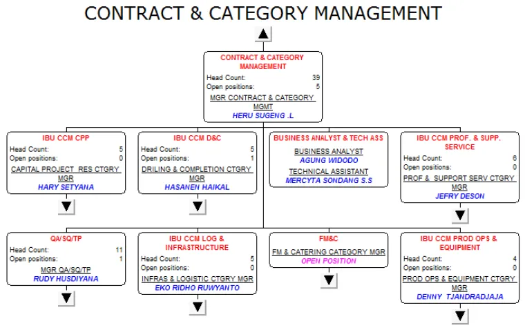 Gambar 2.6. Struktur Organisasi CCM 