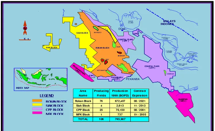 Gambar 2.2. Peta Daerah Operasi PT. Chevron Pacific Indonesia 