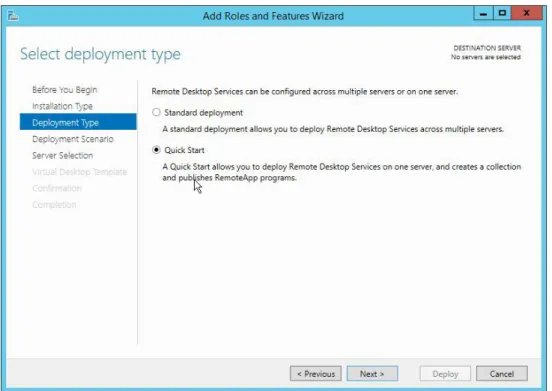 Gambar 4. 23 Tipe Quick Start Deployment 