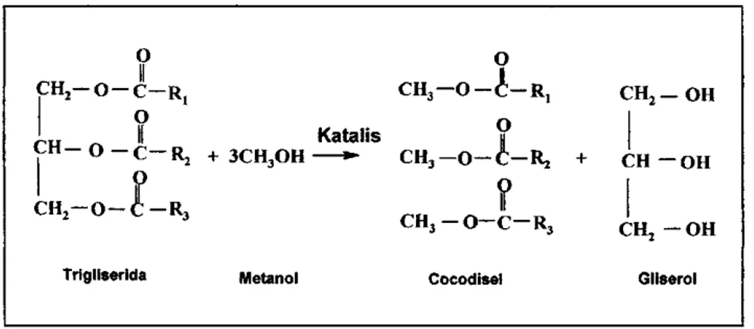 Gambar 2.1 Reaksi Metanolisis 