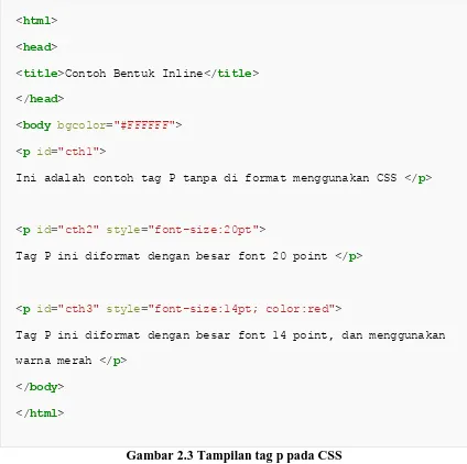 Gambar 2.3 Tampilan tag p pada CSS 