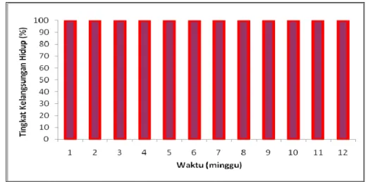 Gambar 11. Tingkat kelangsungan hidup Aaptos aaptos 