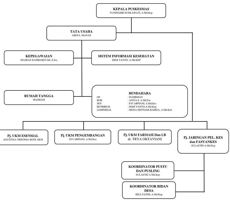 Gambar 2.5.1 Struktur Organisasi Puskesmas Embaloh Hilir :  