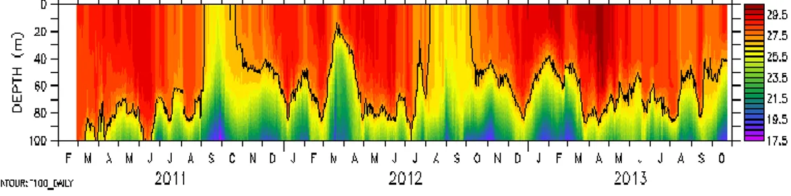 Gambar 2. Variasi suhu hasil observasi sistem mooring surface buoy 