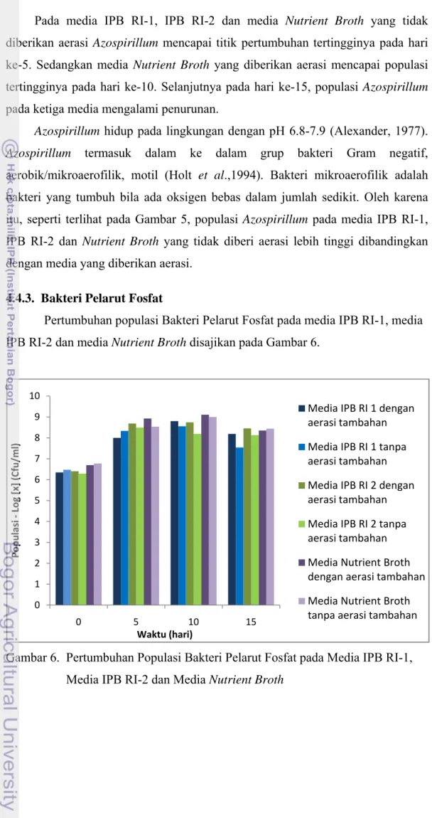 Gambar 6.  Pertumbuhan Populasi Bakteri Pelarut Fosfat pada Media IPB RI-1,  Media IPB RI-2 dan Media Nutrient Broth 