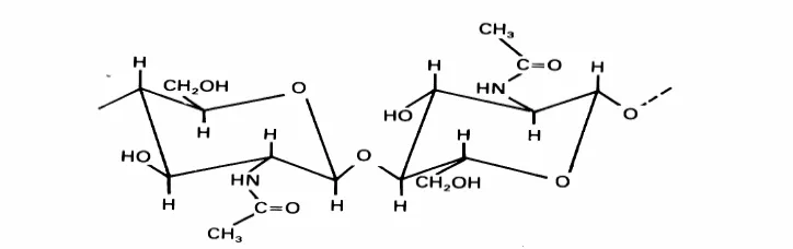 Gambar 2.  Struktur Kimia Khitin (Roberts, 1992) 