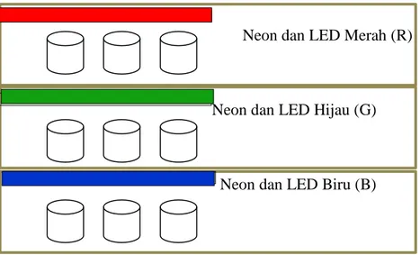 Gambar 1. Kondisi Kultur C.vulgaris : perlakuan neon yang ditambahkan LED merah (R) ;   perlakuan LED hijau (G) ; perlakuan LED biru (B) 