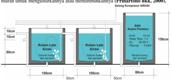 Gambar 1. Konsep Kolam Vertisi 