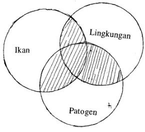 Gambar 1. “Penyakit” sebagai interaksi yang ketidakseimbangan antara ketiga yaitu lingkungan, inang dan patogen  