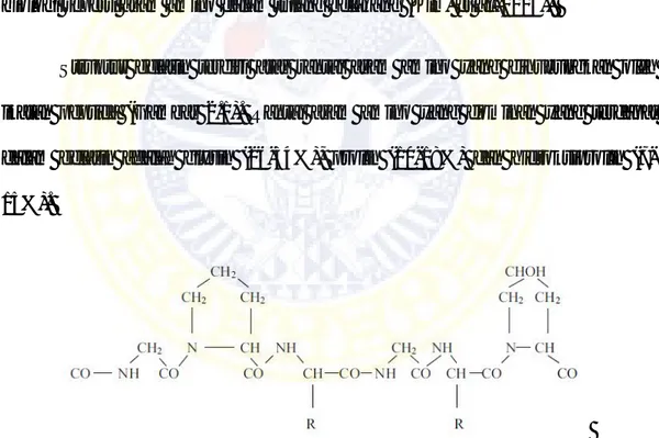 Gambar 2.1. Struktur Kimia Gelatin (chaplin, 2005) 