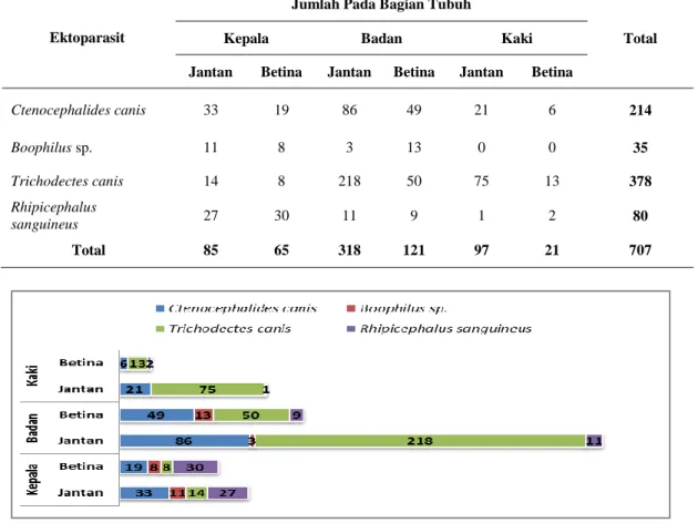 Tabel  2.  Jumlah  ektoparasit  yang  ditemukan  pada  bagian  tubuh  anjing  peliharaan  di  Desa Tanjung Limau Kecamatan Muara Badak 