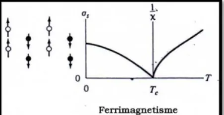 Gambar 2.10 Arah domain dan kurva bahan ferrimagnetik  . 