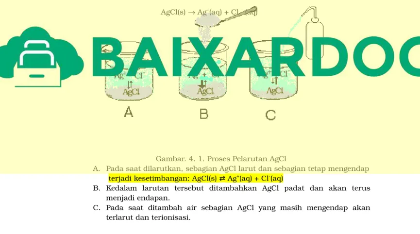 Gambar . 4. 1. Pr oses  Pel ar ut an  AgCl