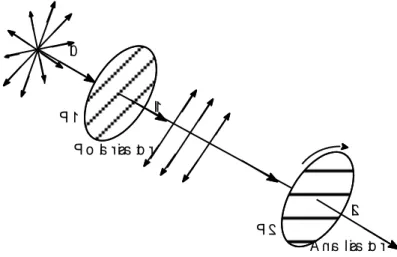 Gambar 13.10. Absorbsi selektif pada bahan polaroid 