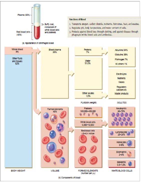 Gambar 2.1. Komponen cairan darah ( Tortora; Bryan, 2009). 