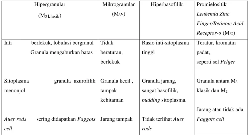 Tabel 1. Subtipe morfologi APL :  Hipergranular  (M 3  klasik )  Mikrogranular (M3v)  Hiperbasofilik  Promielositik  Leukemia Zinc  Finger/Retinoic Acid  Receptor-α (M 3 r)  Inti              berlekuk, lobulasi bergranul  