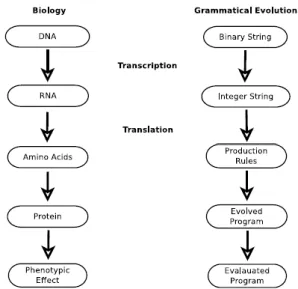Gambar 1. Perbandingan Biology dan GE 
