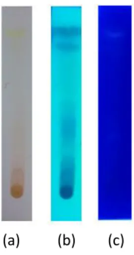 Gambar  2.  Pola  kromatogram  ekstrak  etanol  beras  angkak  dengan  pengembang  etil asetat–metanol (5:1) pada (a) sinar tampak, (b) sinar UV 254 nm, dan (c) sinar  UV 366 nm