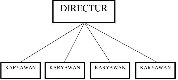 Gambar 3.1 Struktur Organisasi Garis 