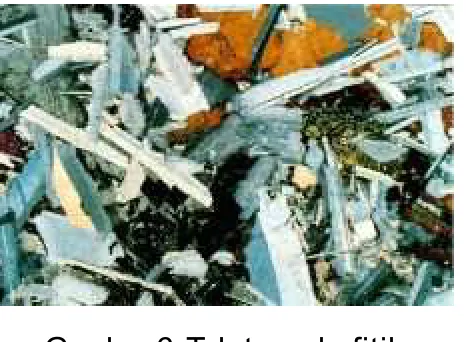 Gambar 5. Tekstur ofitik