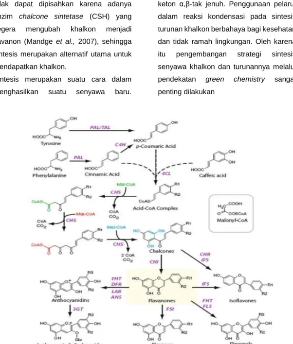 Gambar 2. Biosintesis flavonoid 