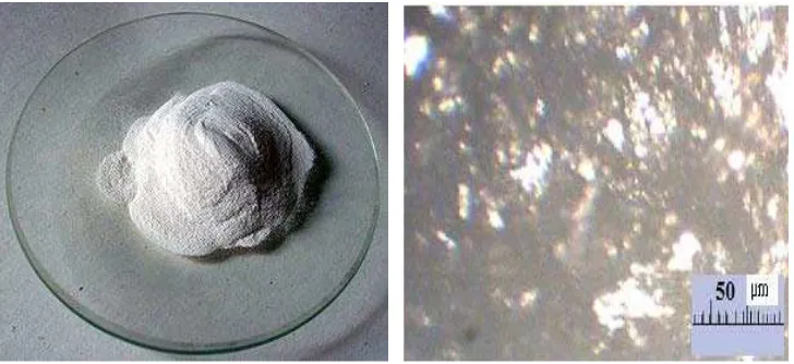 Gambar 2.7 Serbuk alumunium dan foto mikro 