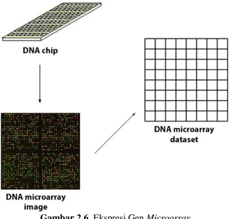 Gambar 2.6. Ekspresi Gen Microarray 