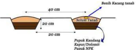 Tabel 1  Jadwal kegiatan penelitian kacang tanah 