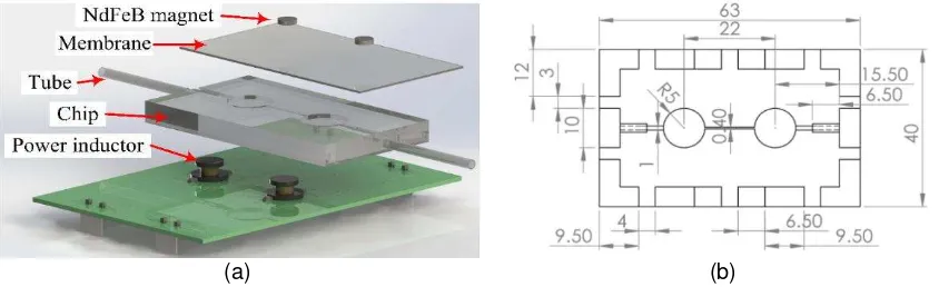 Figure 1. Project design (a) Micropump setup (b) Microchannel design drawing in millimeter 