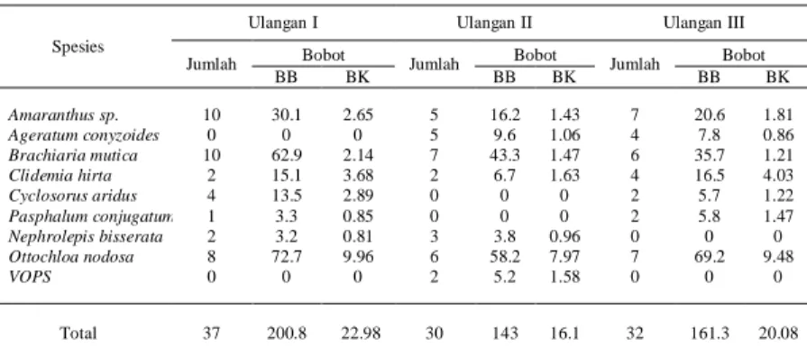 Tabel  7.  Pengamatan  bobot  dan  volume  akar  kelapa  sawit  pada areal tanpa aplikasi JJK 