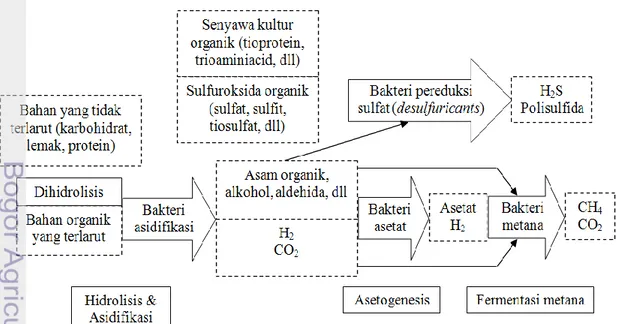 Gambar 2.4 Rantai reaksi anaerobik (Siregar, 2005) 