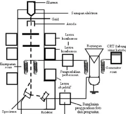 Gambar 8. Skema alat Scanning Electron Microscope (Smallman,2000). 