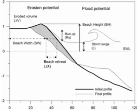 Gambar 4. Skema dari fungsi proteksi terhadap erosi and banjir pada pias pantai selama kejadian badai   Sumber: Mendoza dan Jimenez, 2008 