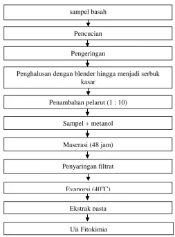 Gambar 1. Diagram Alir Pembuatan Ekstrak Antibakteri Lamun Thalassia hemprichii Sumber : Dewi et al