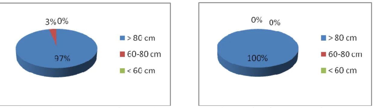 Gambar 4. Diameter Batang Tipe Standar       Gambar 5. Diameter Batang Tipe Spray  Dari Gambar 4 menunjukkan bahwa diameter batang tipe Standar pada budidaya Krisan  di Nongkojajar rata-rata sebesar 6 mm