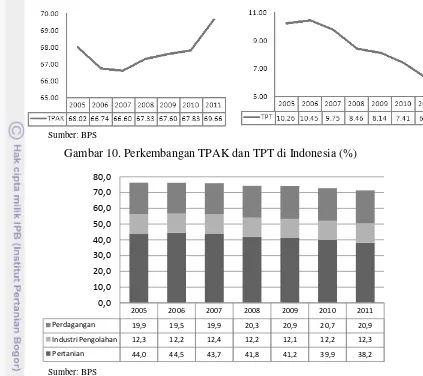 Gambar 10. Perkembangan TPAK dan TPT di Indonesia (%) 