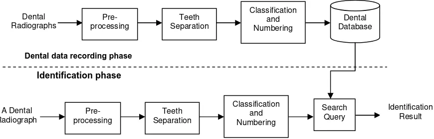 Figure 2. Design of the proposed human identification system 