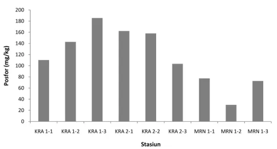 Gambar 6. Distribusi Kandungan Posfor pada Tiap Stasiun Kelurahan Karanganyar dan  Tambakharjo, Kota Semarang.