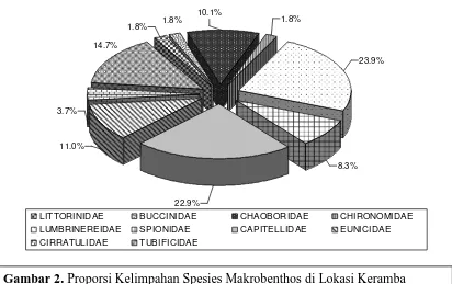Gambar 2. Proporsi Kelimpahan Spesies Makrobenthos di Lokasi Keramba Rukun Santosa 