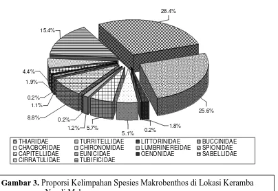 Gambar 3. Proporsi Kelimpahan Spesies Makrobenthos di Lokasi Keramba Ngudi Makmur 