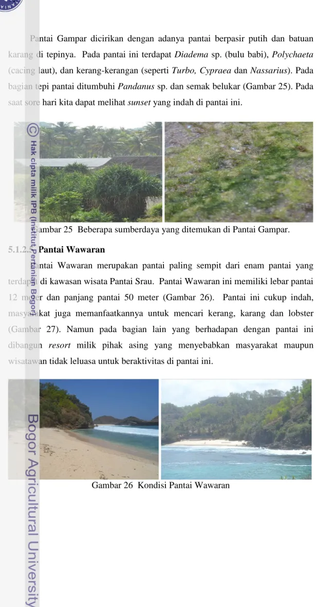 Gambar 25 Beberapa sumberdaya yang ditemukan di Pantai Gampar.