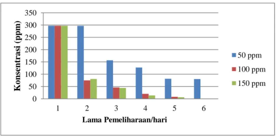 Gambar 2. Pola Pertumbuhan Bakteri Vibrio alginolyticus          Konsentrasi antibiotik 50 ppm pada hari ke  5  penelitian  koloni  bakteri  masih  tumbuh  (Gambar  2),  ini  menunjukan  bahwa  pada  konsentrasi  ini  antibiotik  inrofloxs  bertindak 