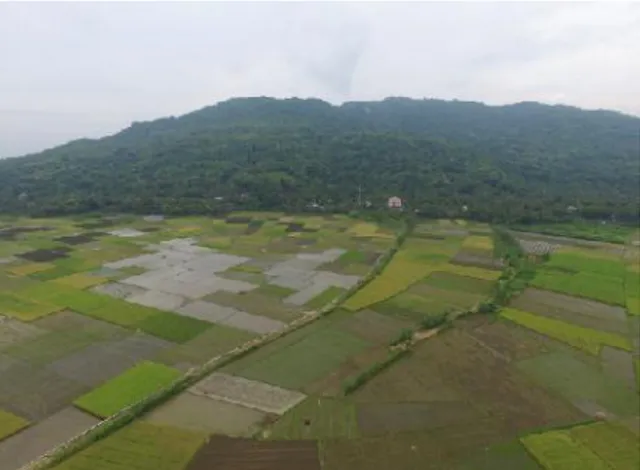 Gambar 2. Lahan pertanian di Dusun Grogol VII dan Grogol VIII yang berbatasan langsung dengan perbukitan karst Gunung Kidul