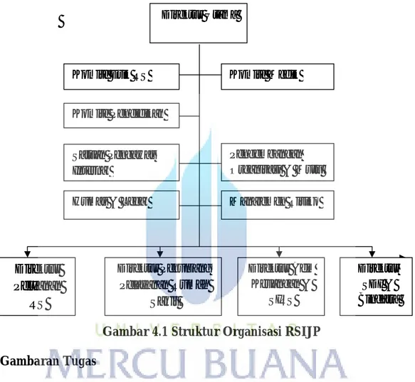 Gambar 4.1 Struktur Organisasi RSIJP  b.  Gambaran Tugas 